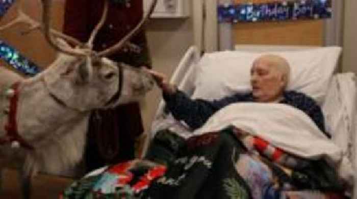 Reindeer bring joy to 'Santa' in hospice