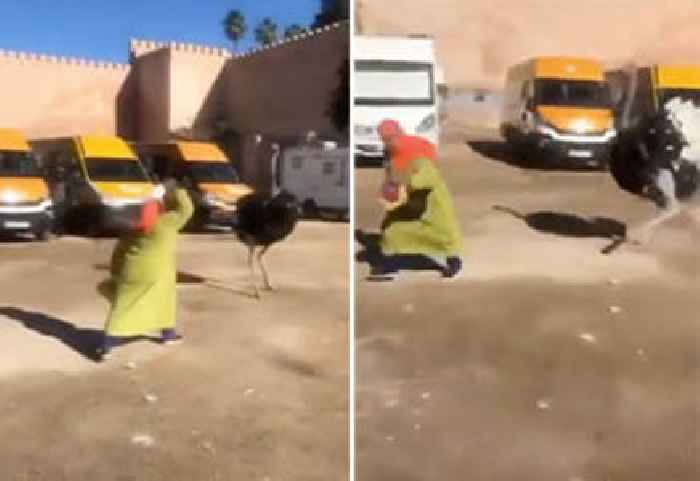 Woman Gets Into Fight With an Ostrich