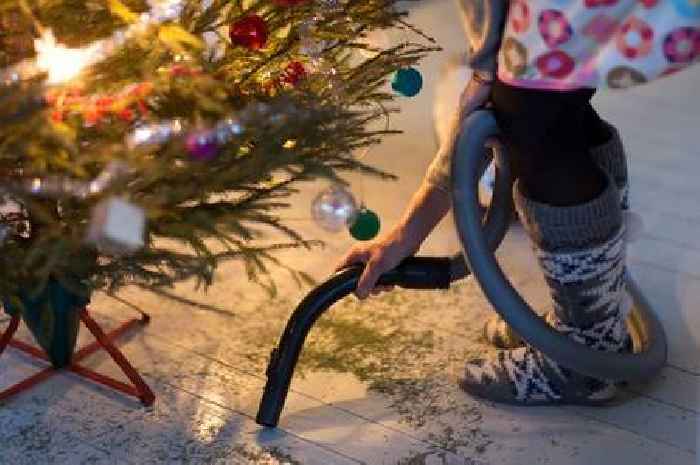 Christmas tree mould: Expert shares five easy tips to get rid of it