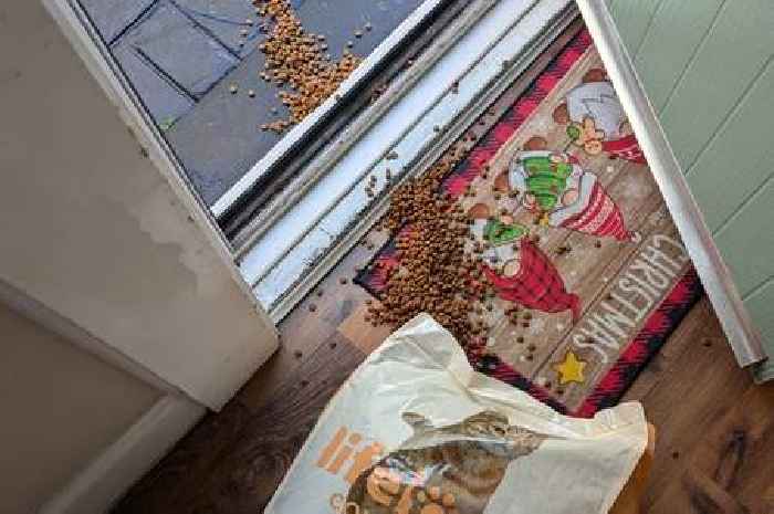 Amazon £26 refund pay-out after driver chucks parcel to send cat food everywhere