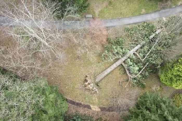 Huge clear-up bill after Storm Darragh rips through National Trust beauty spot