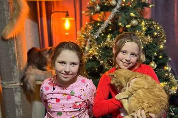 Birmingham family 'weep tears of joy' at reuniting with cat who vanished in 2017