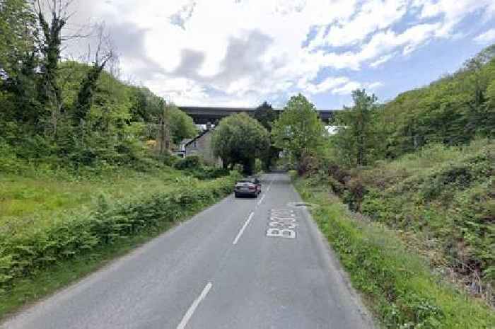 Redruth police incident over concern for man's welfare near viaduct