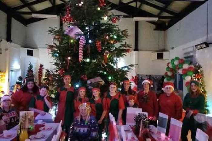 Children delighted by the magic and wonder at Christmas party with 17-foot tree