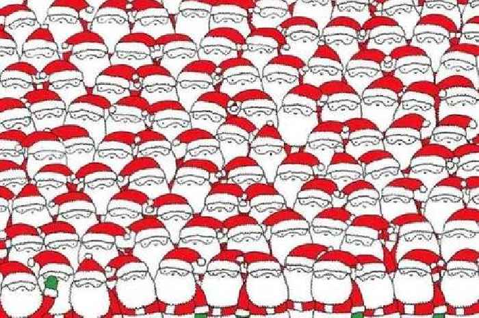 Christmas-themed brainteaser tasks users with finding cat hiding among Santas