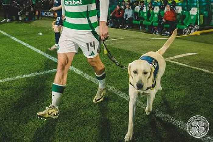 Scots guide dog who led players at Celtic Park while training is moving up