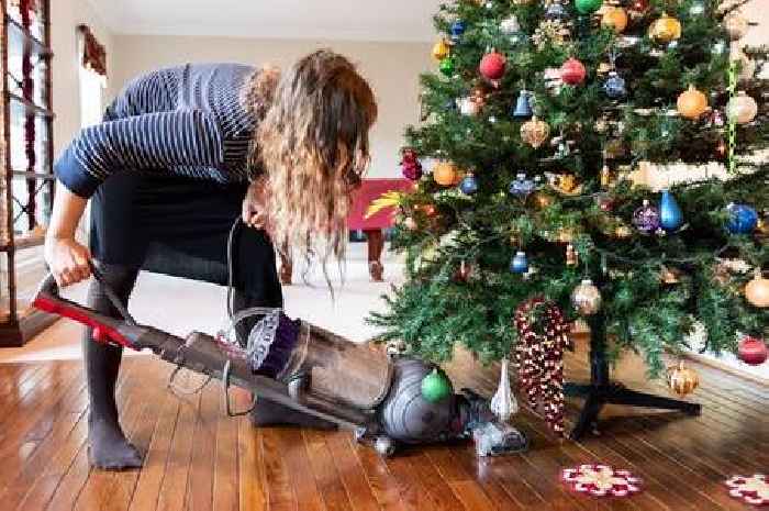 Try 65p trick to easily clean up Christmas tree needles without damaging vacuum