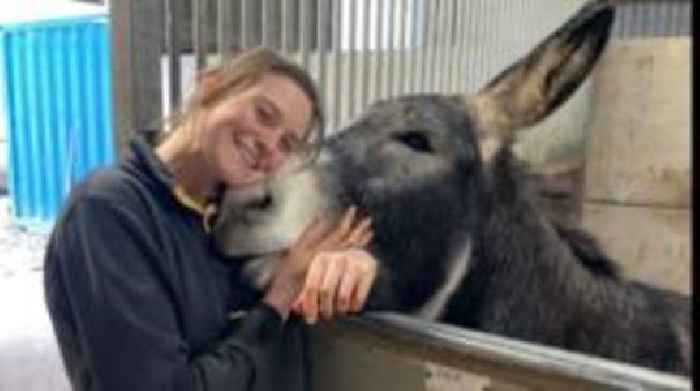 Donkey prepares for village nativity acting debut