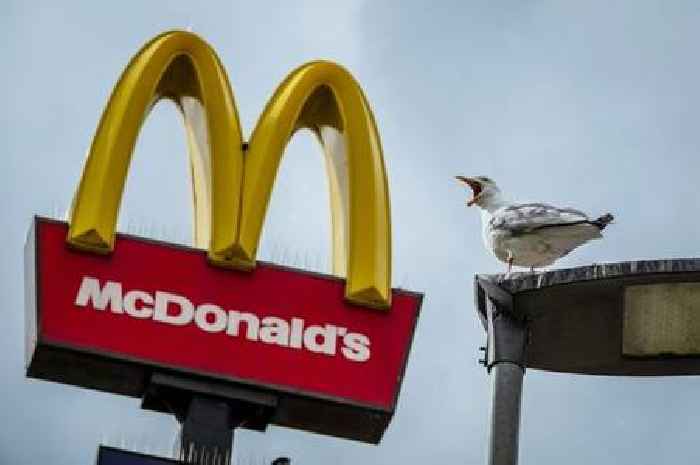 Every McDonald's open on Christmas Day 2024 - full list of 28 branches