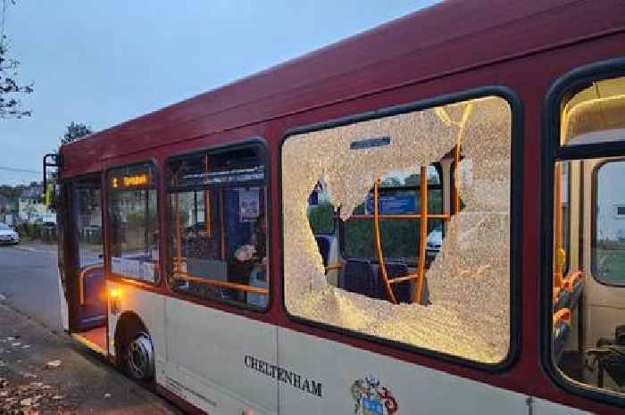 Youths throwing stones smash up Stagecoach buses and cause havoc in Hester's Way