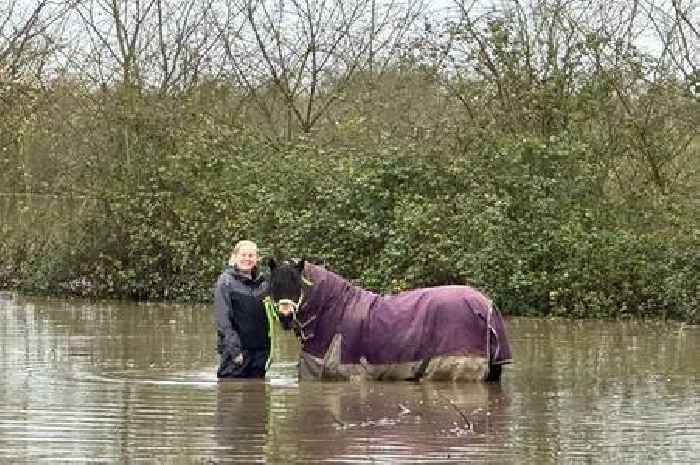 Somerset wins at world famous competition are 'beyond wildest dreams'