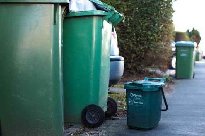 Changes coming to Surrey Christmas bin collections for 2024