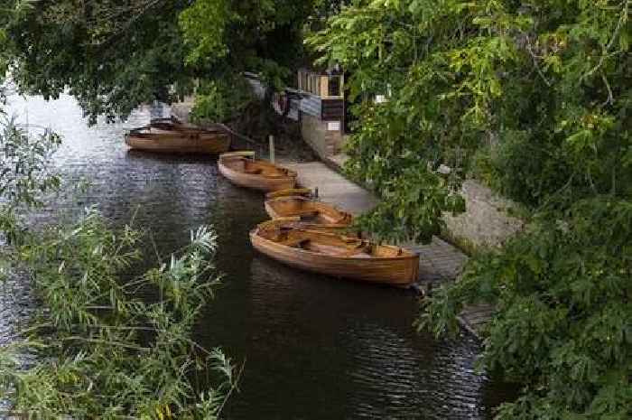 Essex's most stunning walking routes perfect for a stroll after Christmas dinner