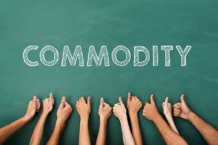 What trends dominated the commodity market in 2024?