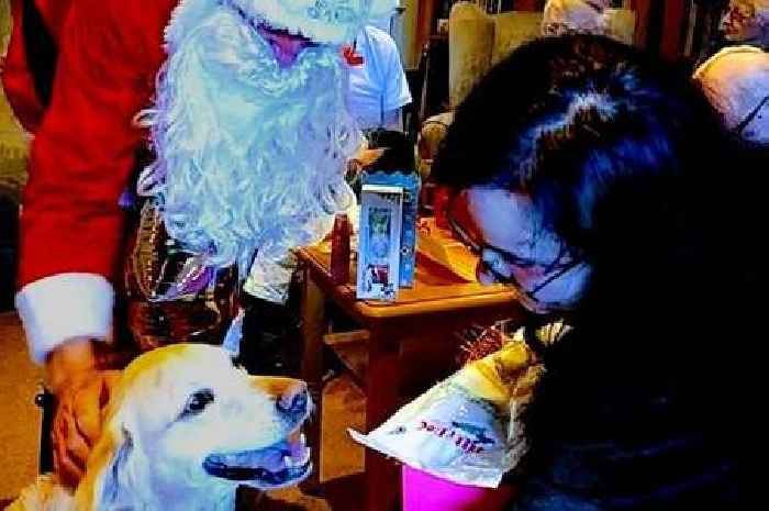 Guide dog Olive enjoys festive retirement party at East Yorkshire care home