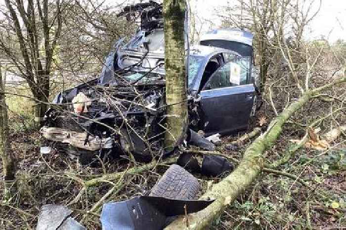 Driver escapes injury after horrific M1 crash into trees