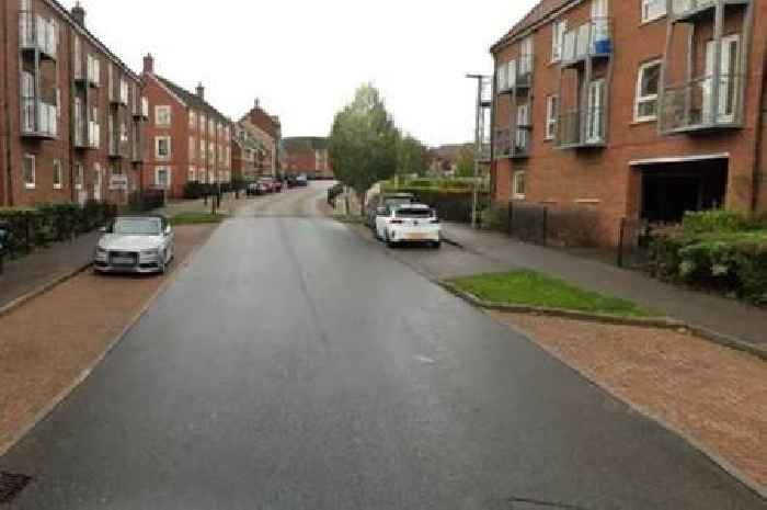 Man arrested on suspicion of murder after two women die in Milton Keynes stabbing