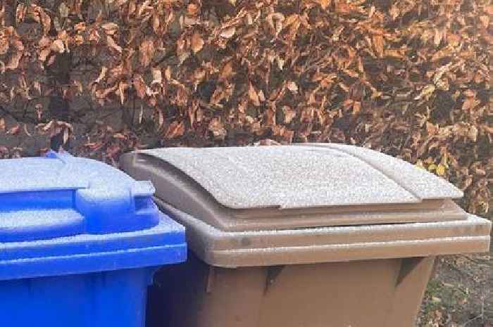 Every home in England will be given four different bins in 2025