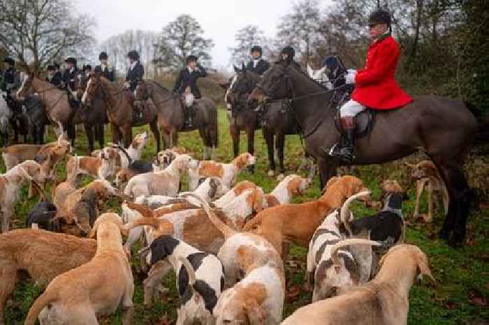 Government’s pledge to ban trail hunting in spotlight as Boxing Day hunts meet