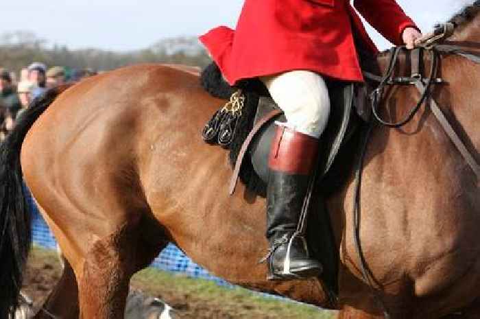 Somerset named as one of UK's worst counties for fox hunting