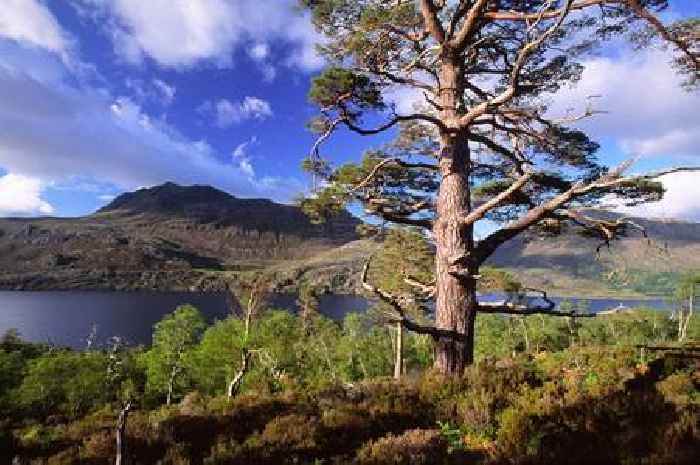 Scotland's top winter nature walks to help us unwind over festive season