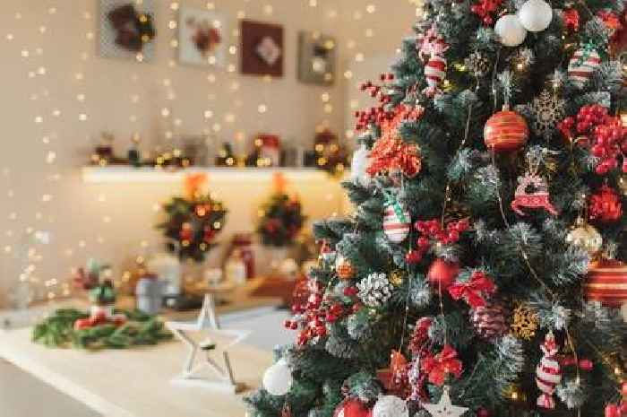 'I take Christmas decor down on key date – people say it's early but there's good reason'