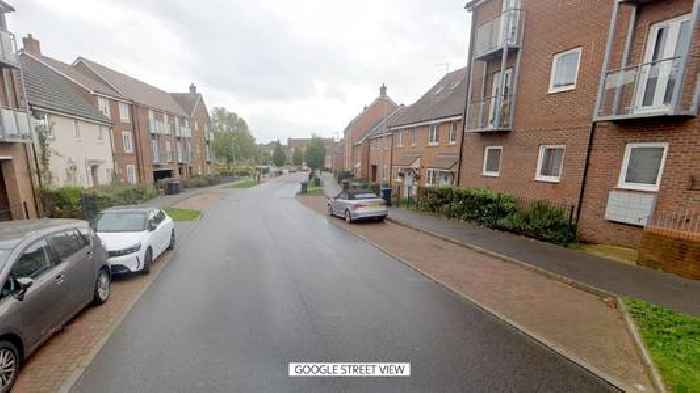 Two women and dog killed after Christmas Day stabbing in Milton Keynes