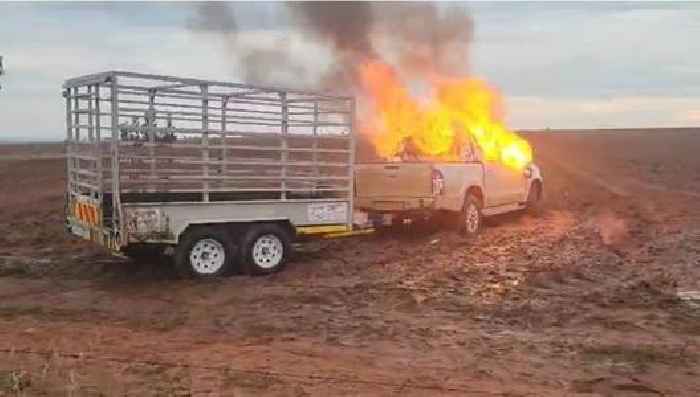 News24 | Alleged stock thief killed, another injured on Mpumalanga farm