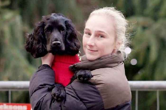 Dog spends Christmas with Walsall police officer who found her in a carrier bag