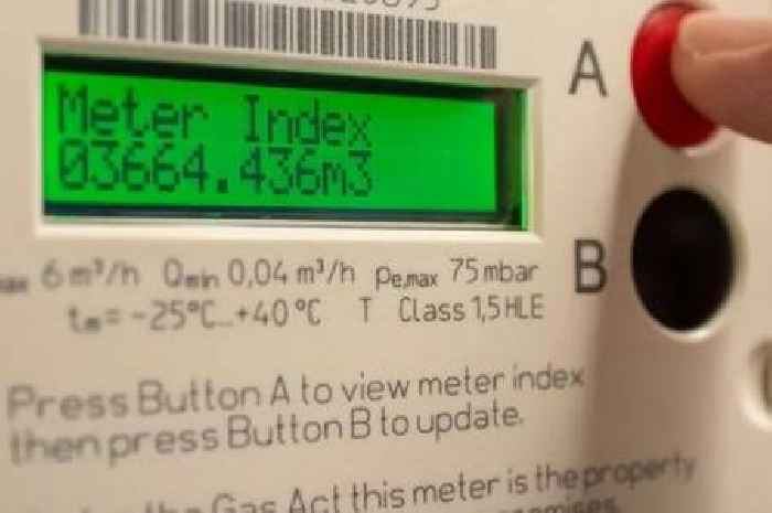 British Gas, Octopus, EON, EDF, OVO customers who DON'T own smart meter warned