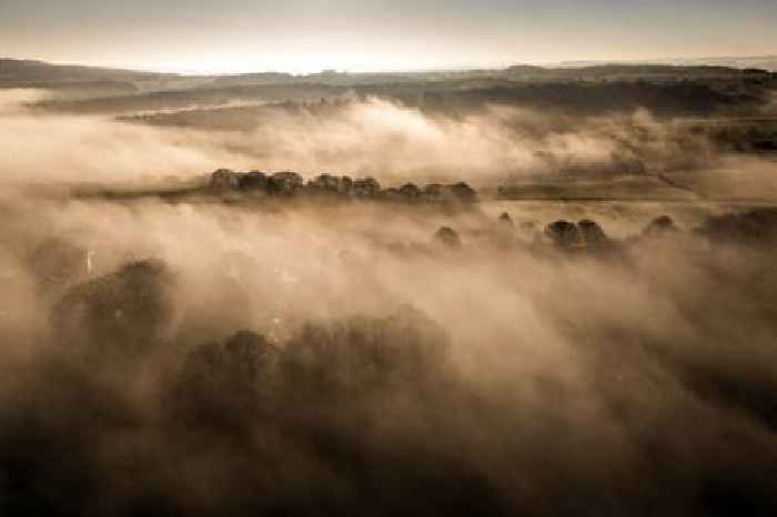 Disruptive fog to stick around into weekend, forecasters say