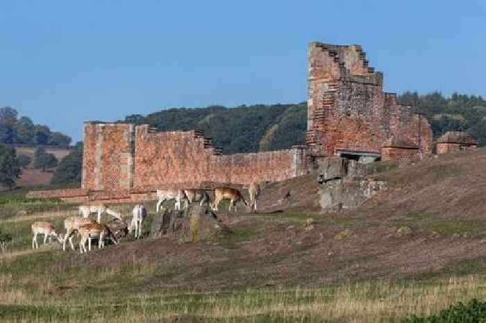 Five little-known facts about Leicestershire's Bradgate Park