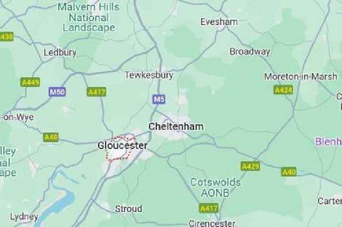 Escaped monkey, 'grey wolf' and sweary ghost among weirdest Gloucestershire stories of 2024