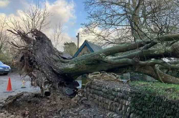 Storm Darragh, new bridge and £9m hospital project dominated the news in December
