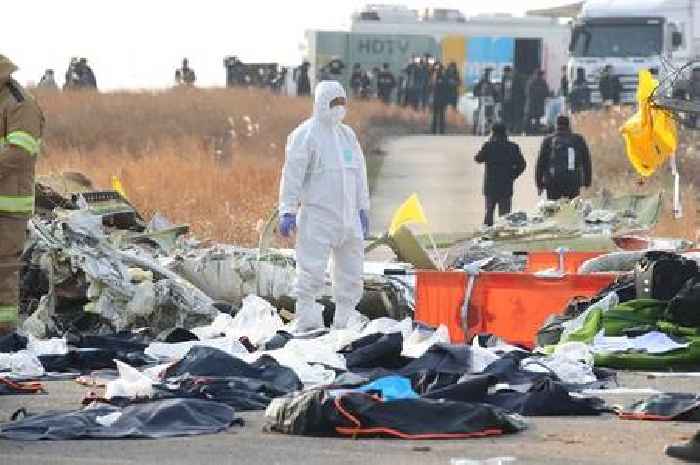 Cause of plane crash in South Korea 'early assessment' after 'warning issued'