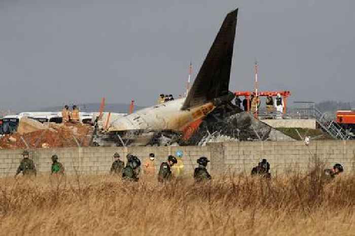 More than 100 dead as plane skids off runway and bursts into flames in South Korea