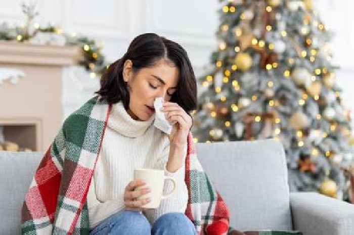 'I'm a doctor – take your Christmas tree down if you spot key symptom'