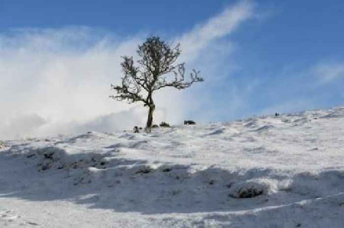 Met Office 'be prepared' warning for Midlands over 'heavy snow and 75mph gusts'