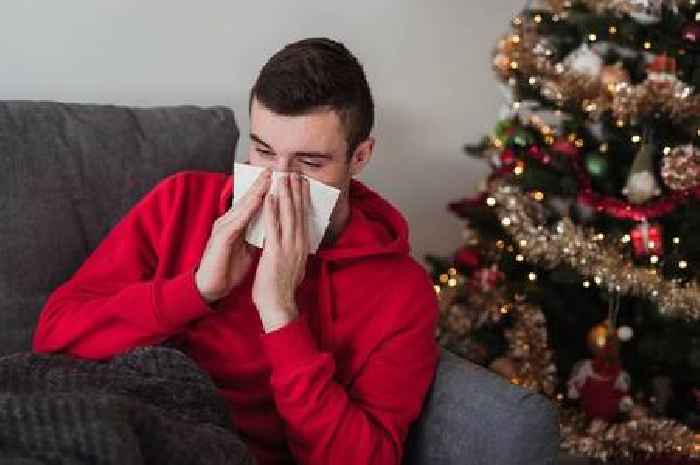 Doctors explain the worrying signs your Christmas tree is making you sick