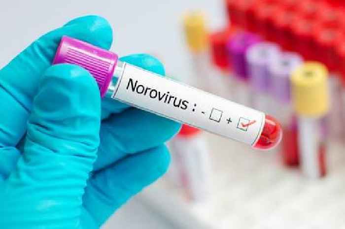 Norovirus symptoms to look out for amid 'stay indoors' warning for families