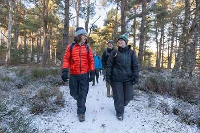 Young Perthshire activist's rewilding mission for Scotland