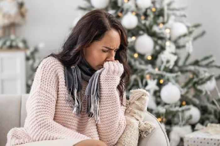 Your Christmas tree can make you sick – doctors say take them down if you have these symptoms