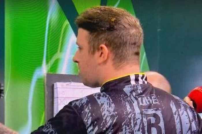 Infamous Ally Pally wasp finds 'new home' in World Darts Championship star's hair