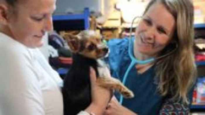 Free health checks for pets owned by homeless