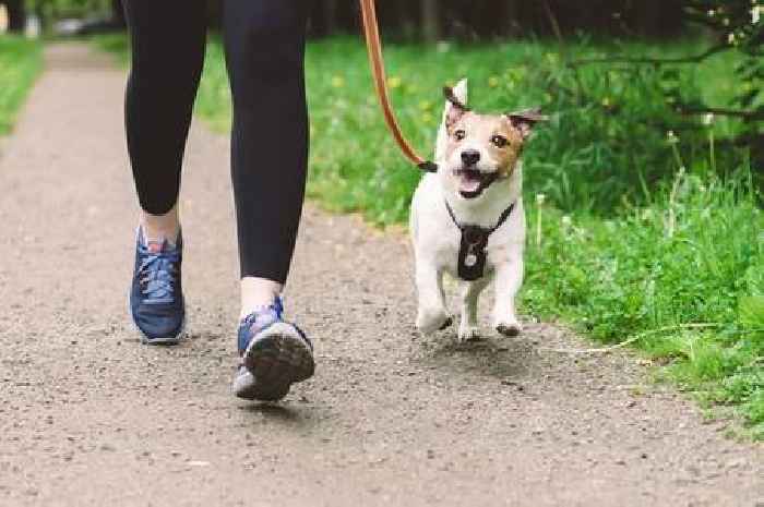 Calling all dog-lovers for New Year walking challenge to aid children’s hospice