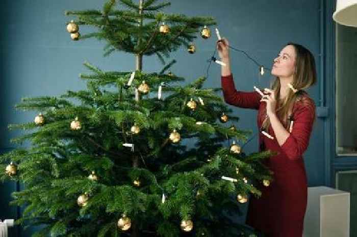 'Exact date' to take down your Christmas tree to avoid bad luck