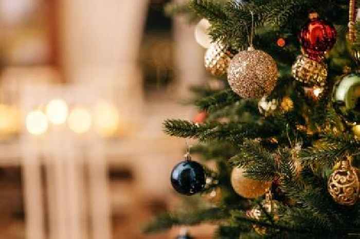 Support Hull's Dove House Hospice by recycling your Christmas tree