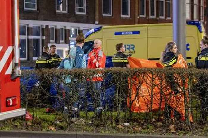 Boy, 14, killed by explosive during Rotterdam fireworks display on New Year's Eve