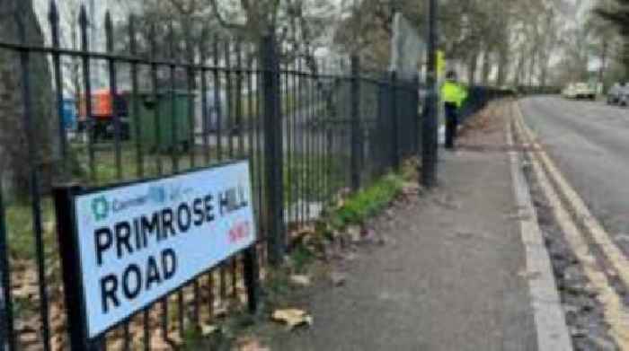 Man arrested after two hit by car in Primrose Hill