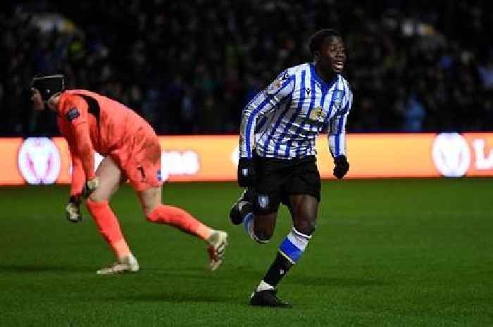 Paul Warne pinpoints Derby County fault in Sheffield Wednesday defeat